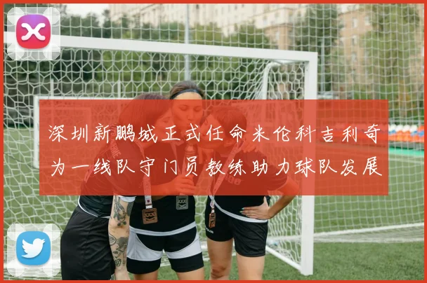 深圳新鹏城正式任命米伦科吉利奇为一线队守门员教练助力球队发展